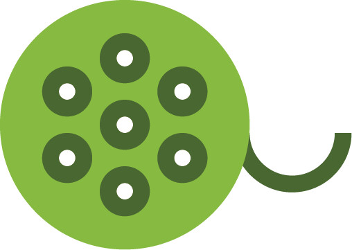 Microfilm icon