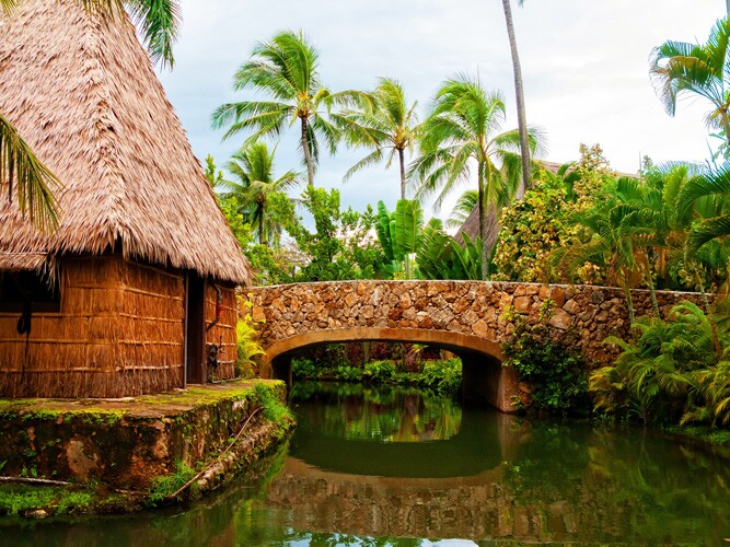 A polynesian village like moana's.