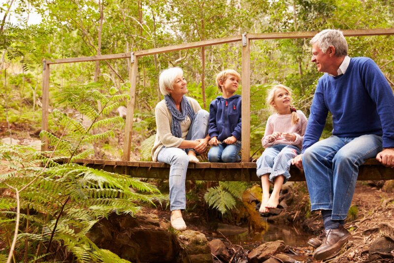 How to plan a family reunion to get the whole family involved.