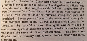 Glatz Newspaper Clipping