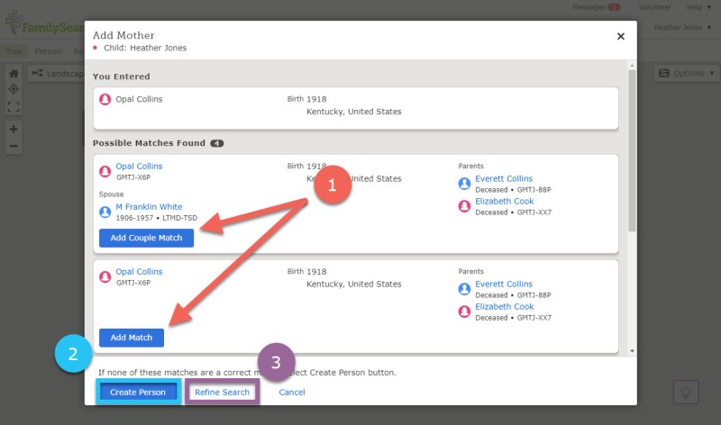 Screenshot of adding a match in the Family Tree.