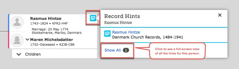 A screenshot of record hints on the family tree.