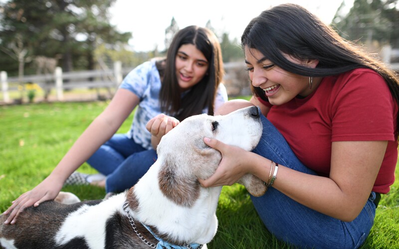 Two sisters play with a dog