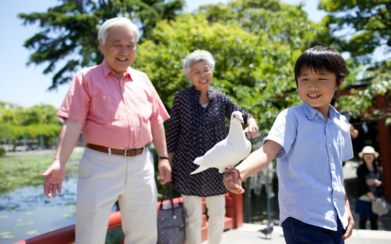 Un abuelo japonés con su nieto, que sostiene una paloma.