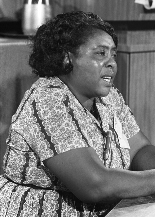 an image of African American woman fannie lou hamer.