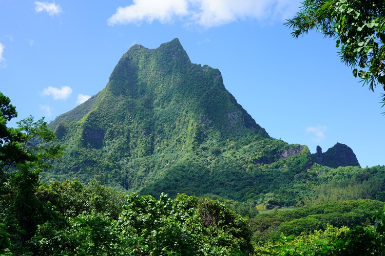 a mountain on a tropical island.