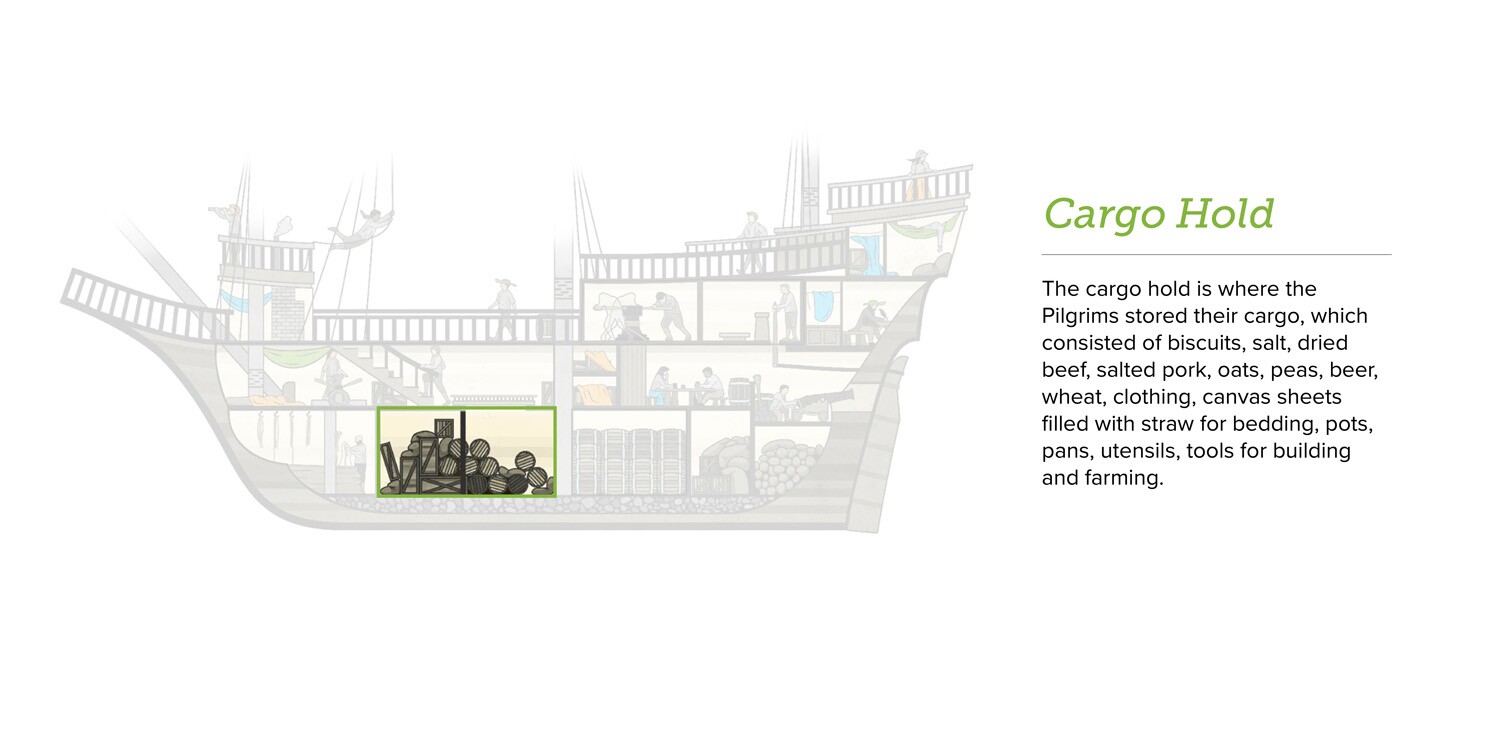 The cargo hold is where the Pilgrims stored their cargo, which consisted of biscuits, salt, dried beef, salted pork, oats, peas, beer, wheat, clothing, canvas sheets filled with straw for bedding, pots, pans, utensils, and tools for building and farming.