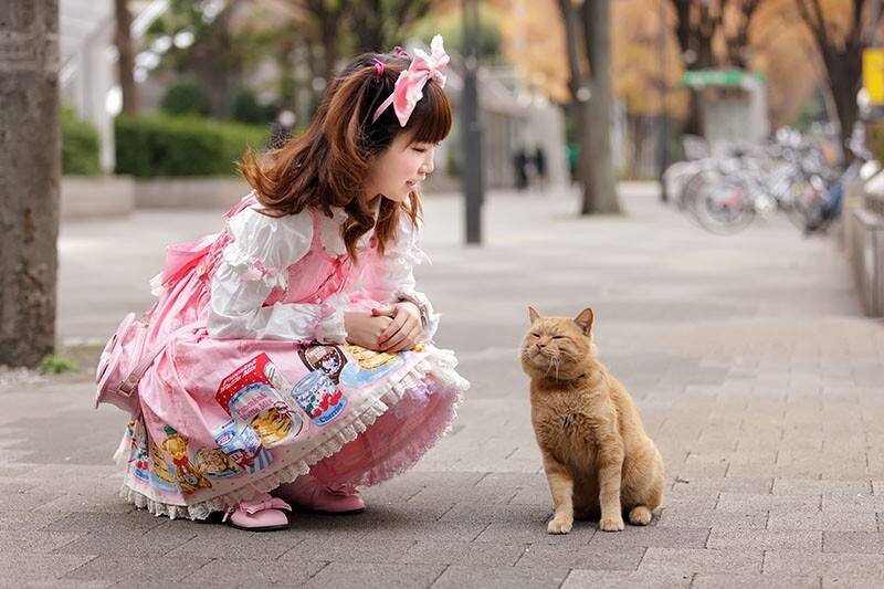 a young girl in lolita japanese fashion posing next to a cat