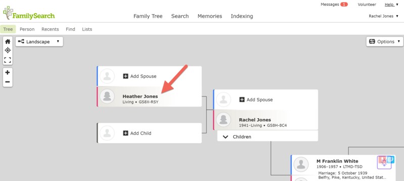Screenshot of a tree view on FamilySearch.