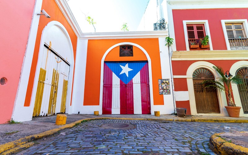 A puerto rican flag painted on a door