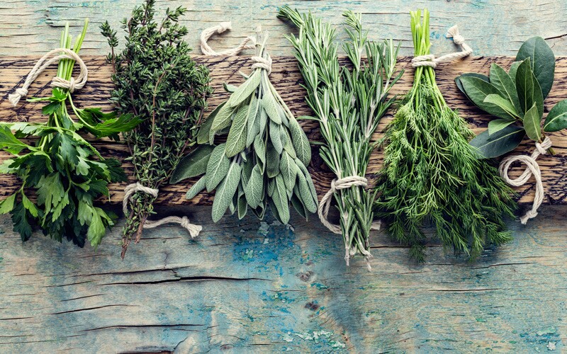 various herbs that may be used in English cooking.