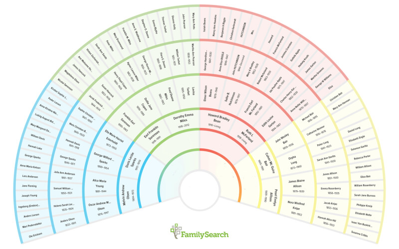 genealogy chart - FamilySearch fan chart