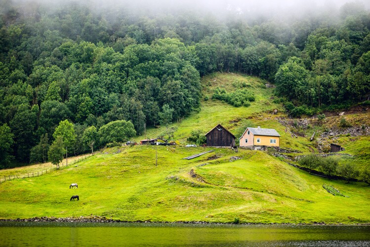 a farmland in norway