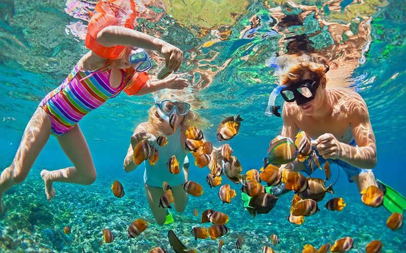 A family enjoys snorkeling and swimming around fish.