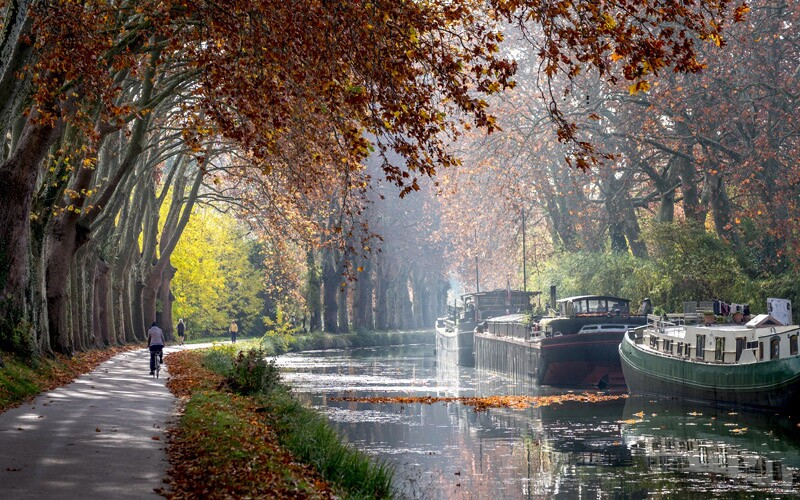 Canal Du Midi in Autumn