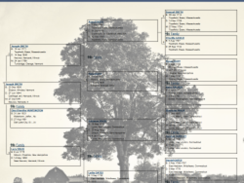 Ancestral File Screenshot