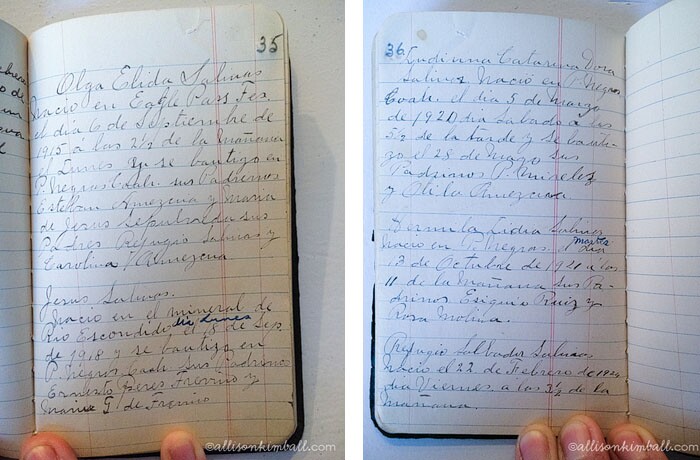 Allison Kimball Family Notebook