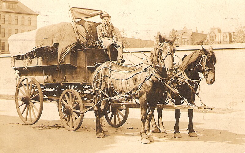 a norwegian man drives his carriage into the city.