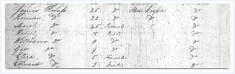 New York Passenger Lists, 1820–1891, National Archives and Records Administration