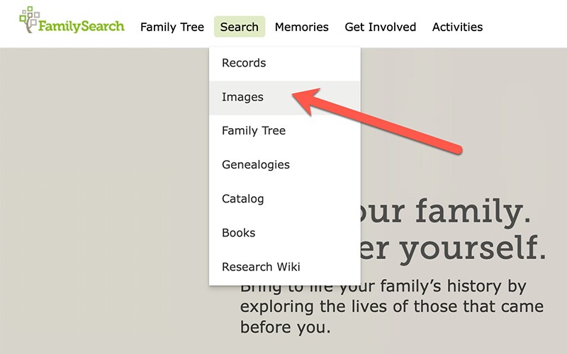 Under Search in the top navigation bar, click on "Images" to find your Chinese family tree.