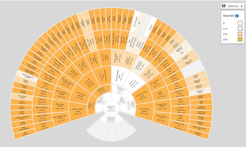 fan chart of sources attached to family tree