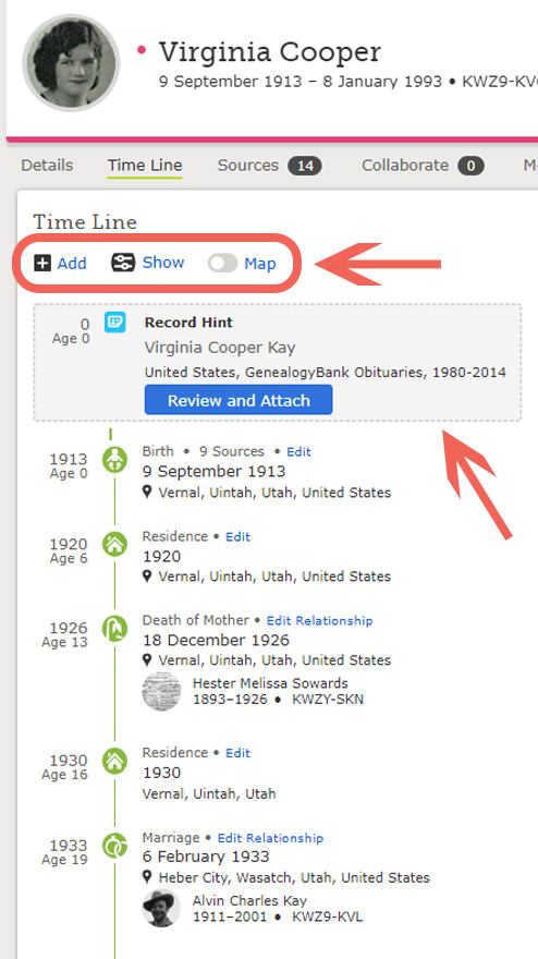 Family tree, Time line, timeline, family history, genealogy
