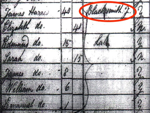 a census record showing an ancestor's job