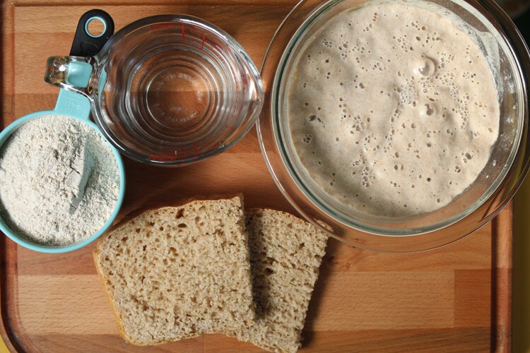 sourdough starter kit